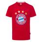 Preview: Bayern München Logo Fan Shirt