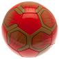 Preview: Liverpool FC Club Fan Ball