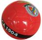 Preview: Benfica Club Fan Ball