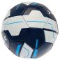 Preview: Tottenham Hotspur Club Fan Vereinsball